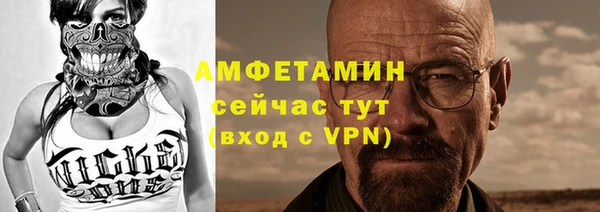 mix Инта