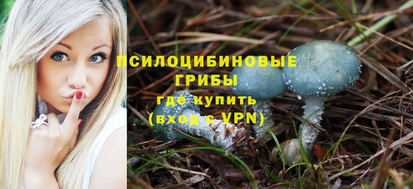 крисы Арсеньев
