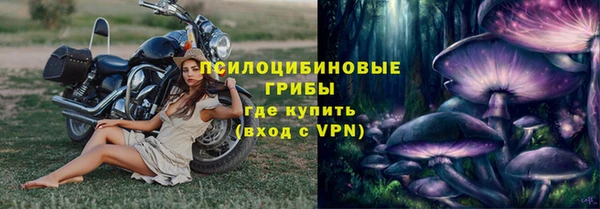 крисы Арсеньев