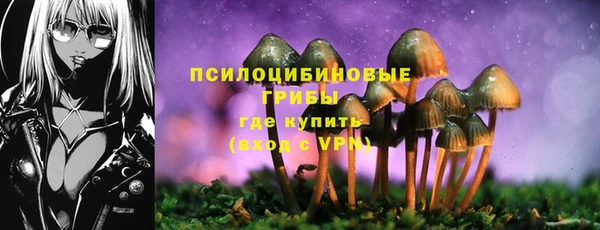 гидра Аркадак