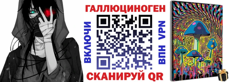 маркетплейс Telegram  Рошаль  Псилоцибиновые грибы GOLDEN TEACHER 